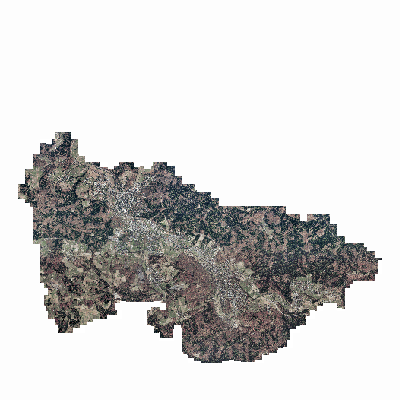 Export Image