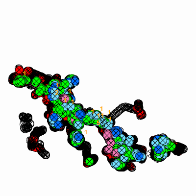 Export Image